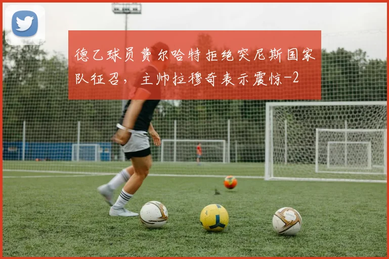 德乙球员费尔哈特拒绝突尼斯国家队征召，主帅拉穆奇表示震惊
