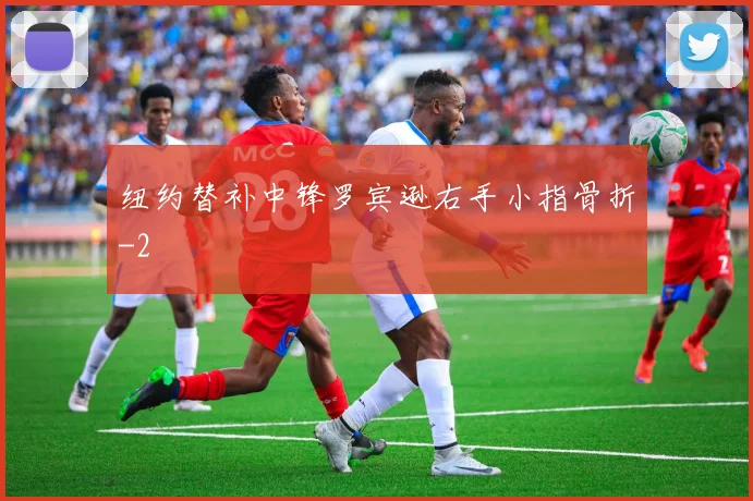 纽约替补中锋罗宾逊右手小指骨折