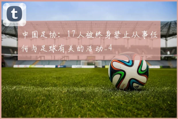 中国足协:17人被终身禁止从事任何与足球有关的活动_4
