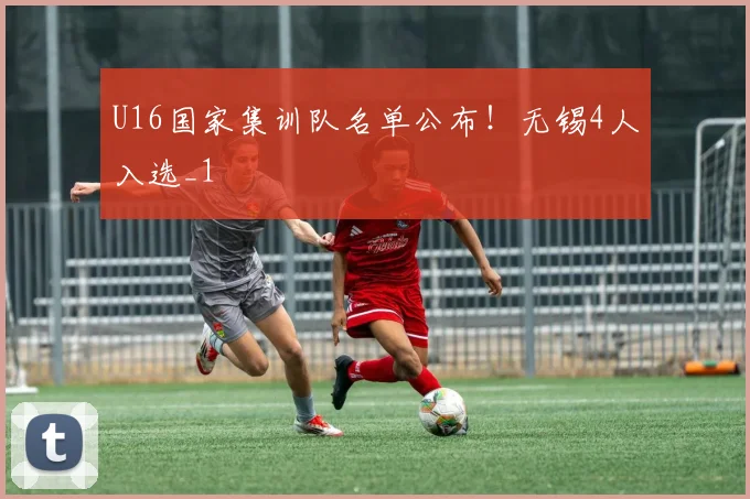 U16国家集训队名单公布!无锡4人入选_1