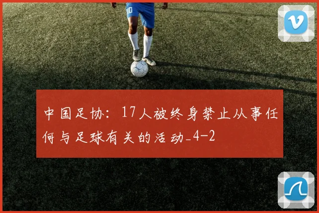 中国足协:17人被终身禁止从事任何与足球有关的活动_4